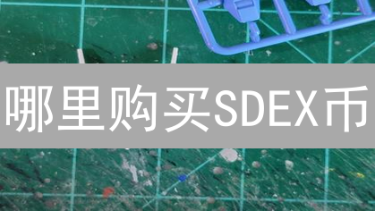 哪里购买SDEX币：交易平台选择与购买指南