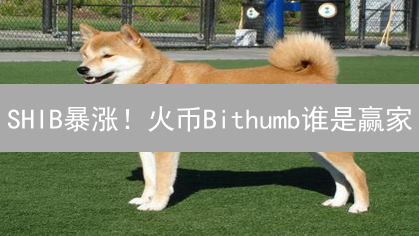 SHIB暴涨！火币Bithumb谁是赢家？交易所策略大揭秘！