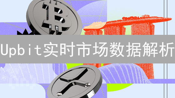 Upbit实时市场数据解析：技术架构与数据处理深度剖析