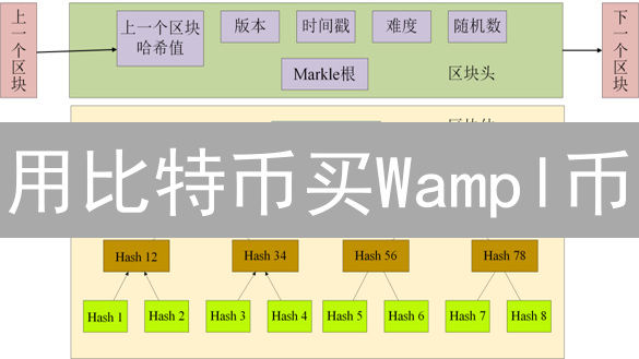 用比特币买Wampl币？新手必看！避坑指南，立即行动！